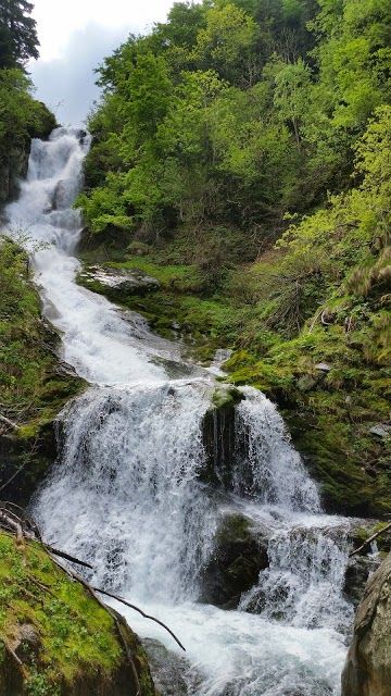 Parco Naturale del Marguareis