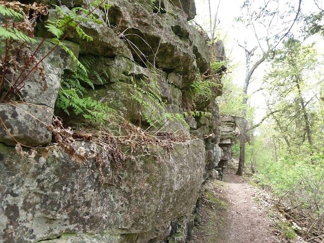 Brown County WI Bay Shore Park