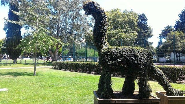 Park of Quinta da Alagoa
