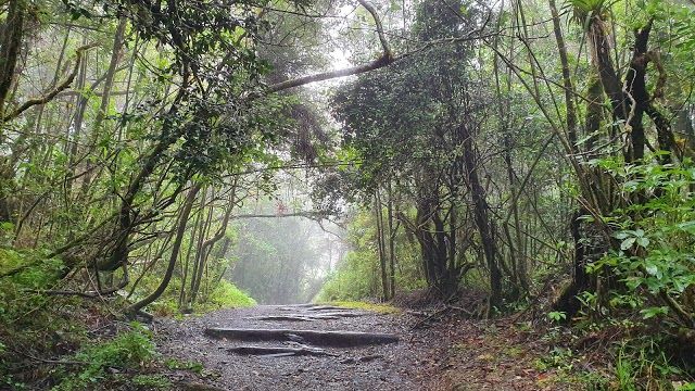 Entrada Parque Nacional Volcán Barva
