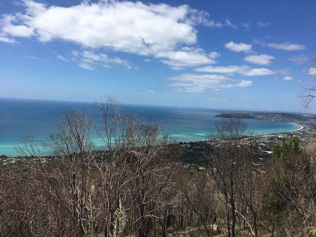 Arthurs Seat Lookout
