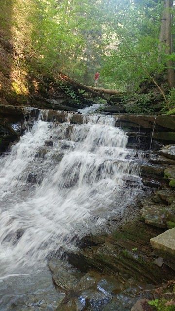 High Tor Wildlife Management Area