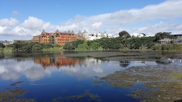 Vogelschutzgebiet Intaka Island Bird Sanctuary