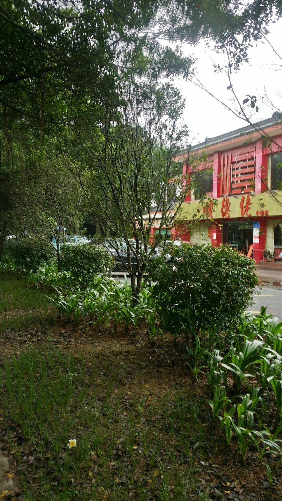 HanTang Jie