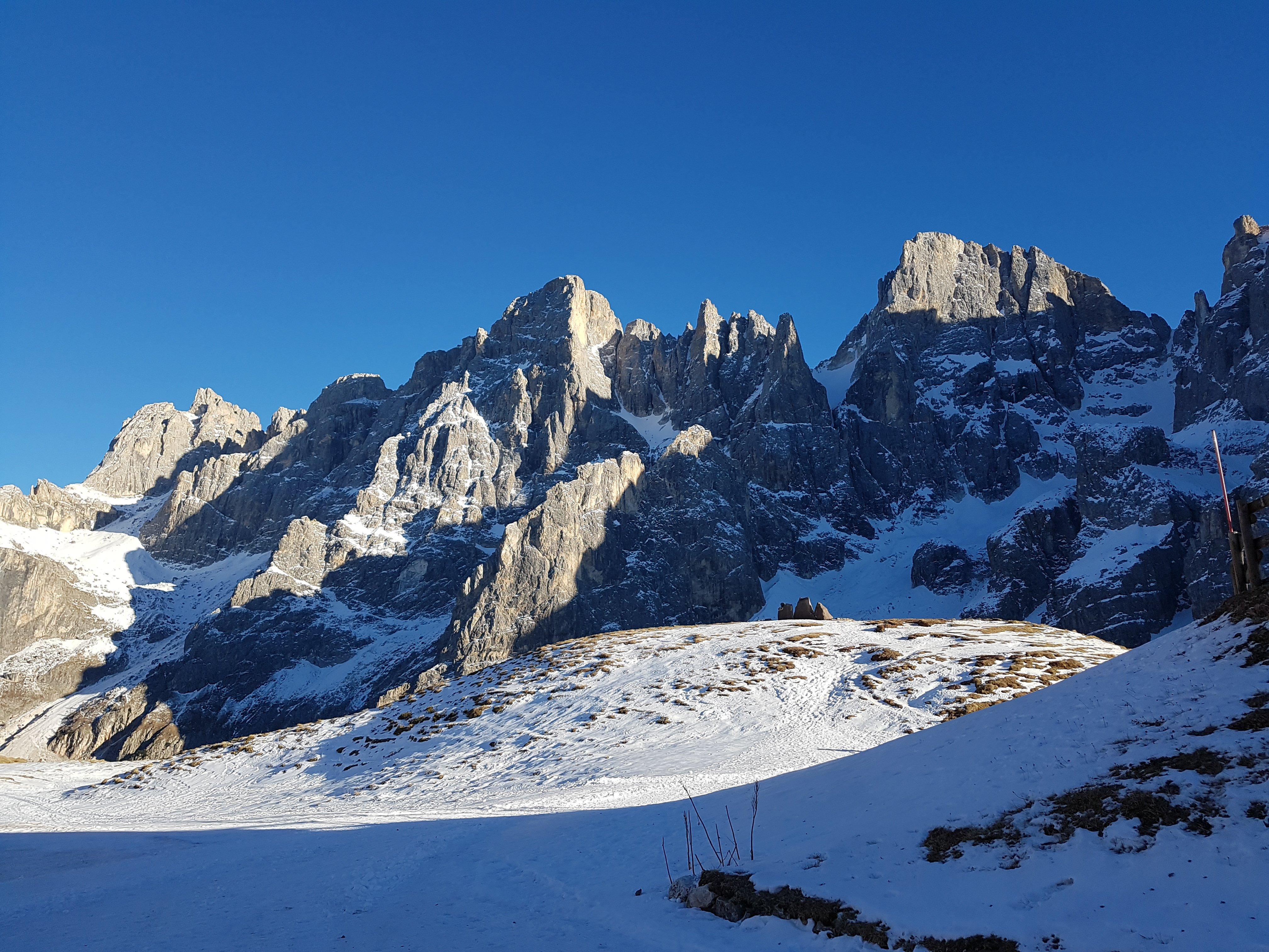 Sentiero degli Abeti Giganti