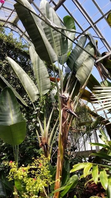 Lamberton Conservatory