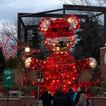 Shine Morida Restaurant