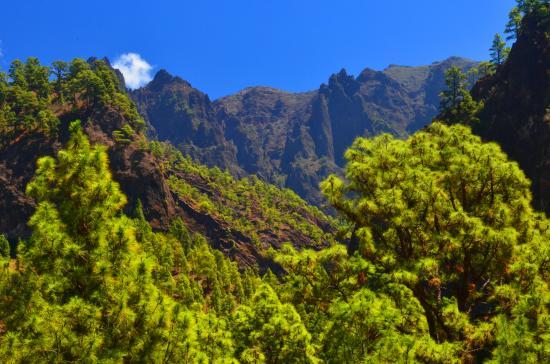 Parque Nacional de la Caldera de Taburiente