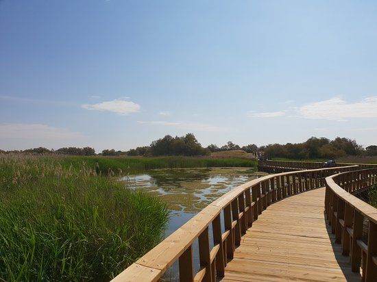 Nationaal park Tablas de Daimiel