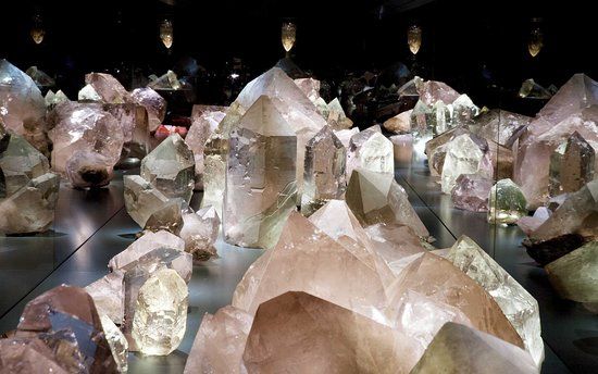 Naturhistorisches Museum Bern