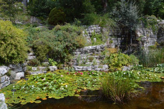 Cantonal Botanical Museum and Gardens