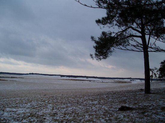 National Park de Loonse en Drunense Duinen