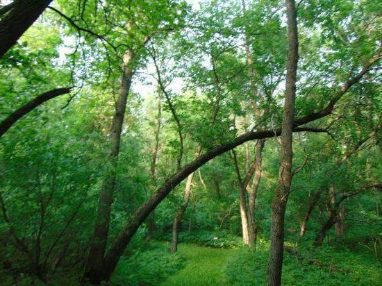 Pembina Valley Provincial Park
