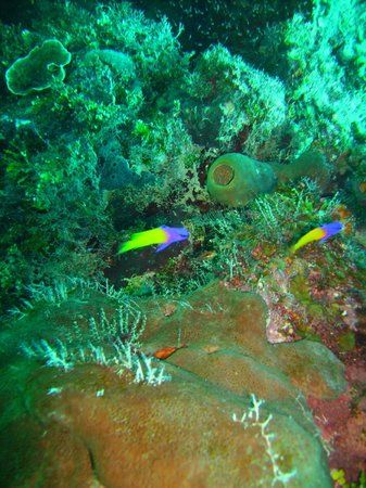 Muro das Lamentações