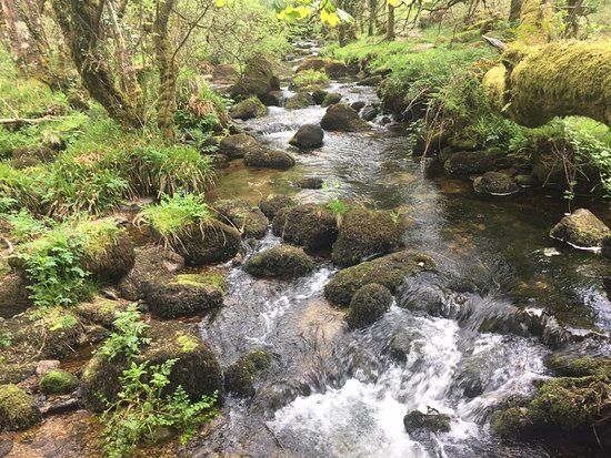 Dartmeet River Junction