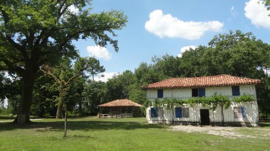 Écomusee de Marquèze