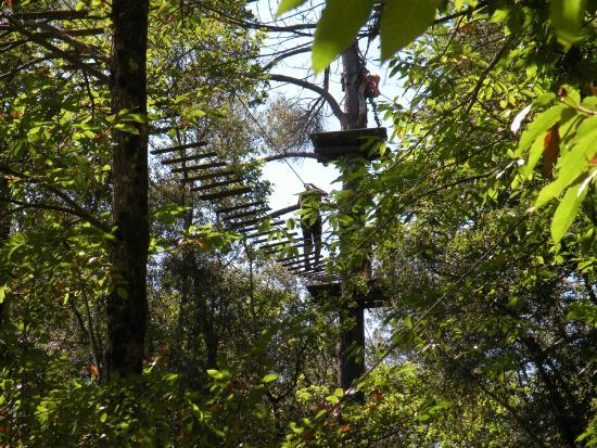 La Forêt des Ecureuils
