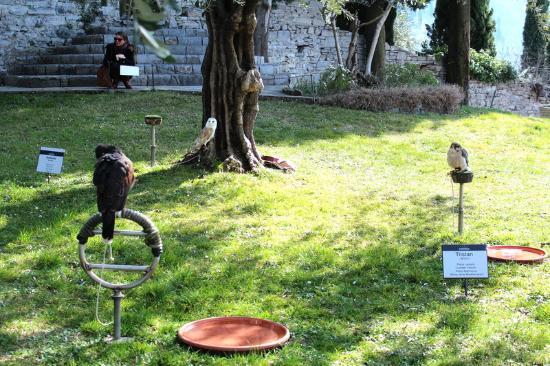 Museum für Ornithologie und Naturwissenschaften