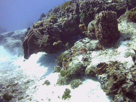 el Arrecife Paseo El Cedral