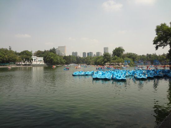 Lago del Bosque de Chapultepec