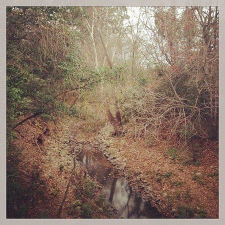 Edith L. Moore Nature Sanctuary