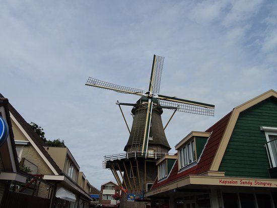 Moulin du lion d'Aalsmeer