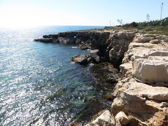 Parco di Costa di Carro