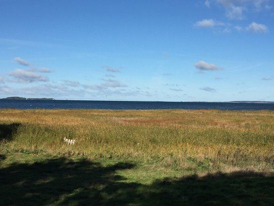 Skanse I Ørnehoved Skov V