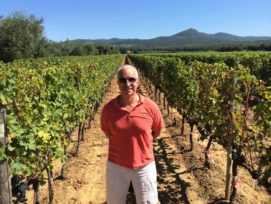 Azienda vinicola Tenuta di Vaira