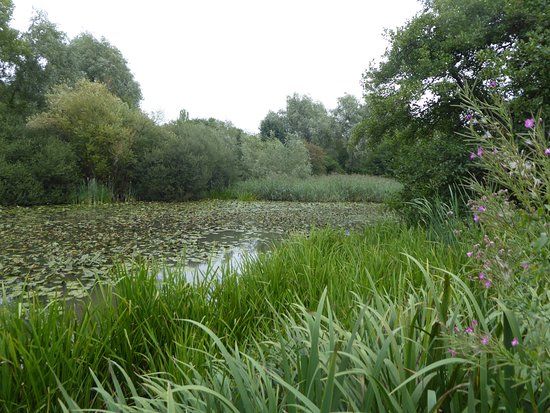 Woods Mill Sussex Wildlife Trust Nature Reserve