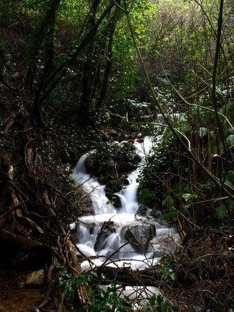 Parco Forestale di Poggio Neri