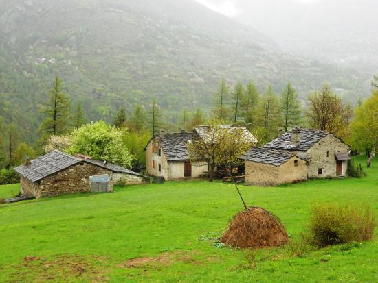 Parco Naturale del Gran Bosco di Salbertrand