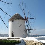 Paradise Bakery and Cafe