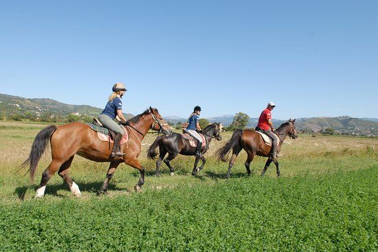 Agriturismo I Moresani
