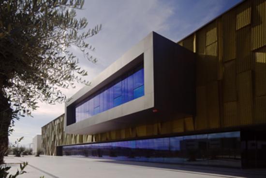 Terra Oleum Museo Activo Del Aceite De Oliva