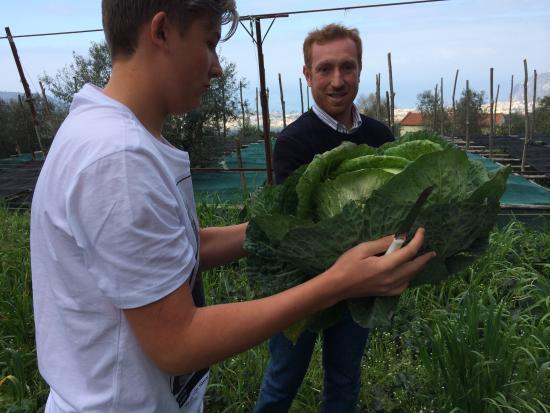 Farm Experience- Agriturismo Antico Casale