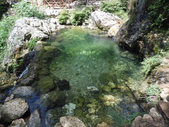 Cipresseta di Fontegreca