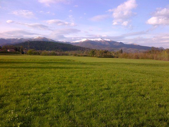 Brughiera di Orsenigo