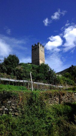 Castello di Pedenale