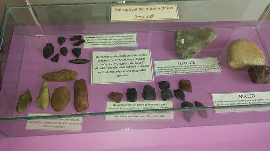 Museo de Ciencias Naturales Vicente Di Martino