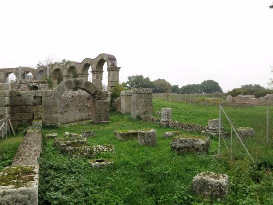 Area Archeologica di Ferento