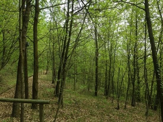 Parco Naturale di Rocchetta Tanaro