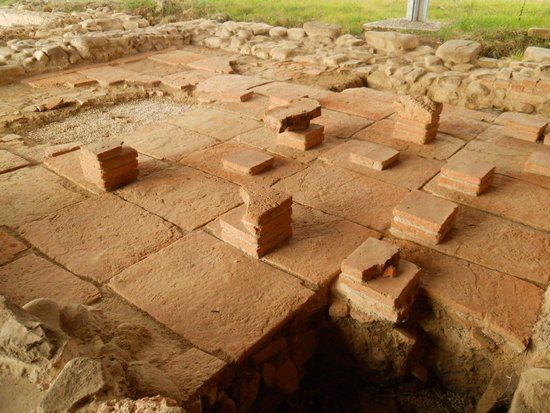 Scavi Archeologici di Colle Plinio