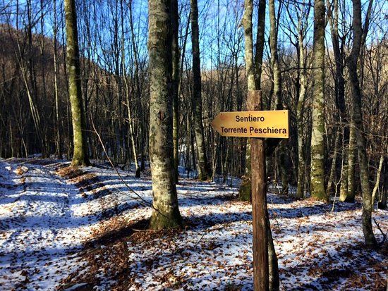Montagna di Basso di Viggianello