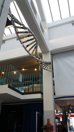 Laboratorio Explorazione del Museo Scientifico di Treviglio