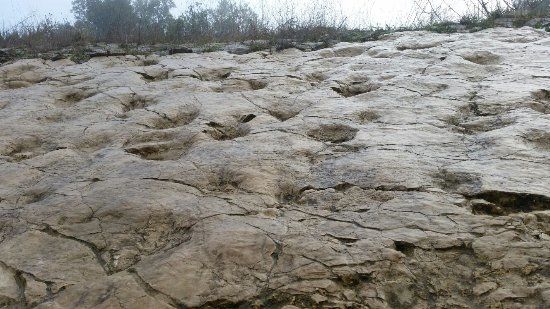 Impronte di Dinosauro