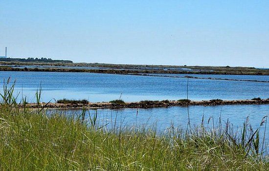 Saline di Tarquinia