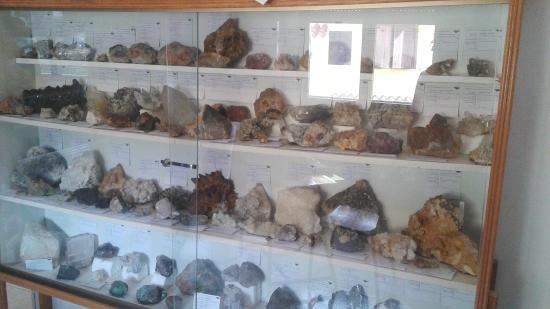 Museo di Scienze Naturali