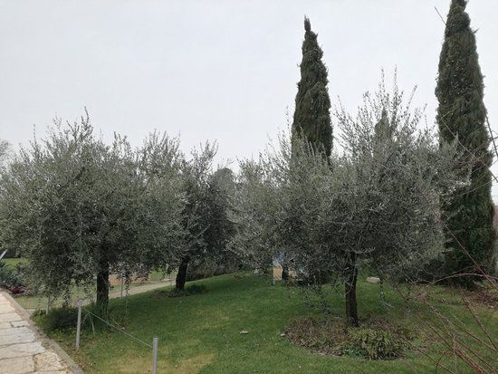 Il Giardino degli Angeli