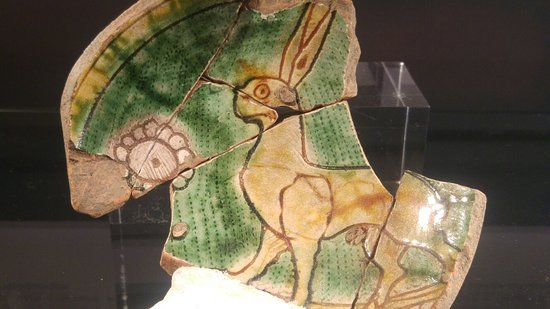 Antiquarium della Motta e Mostra del fossile